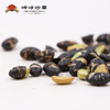 【满减参考价4.9元】上海黑豆210g 商品缩略图2
