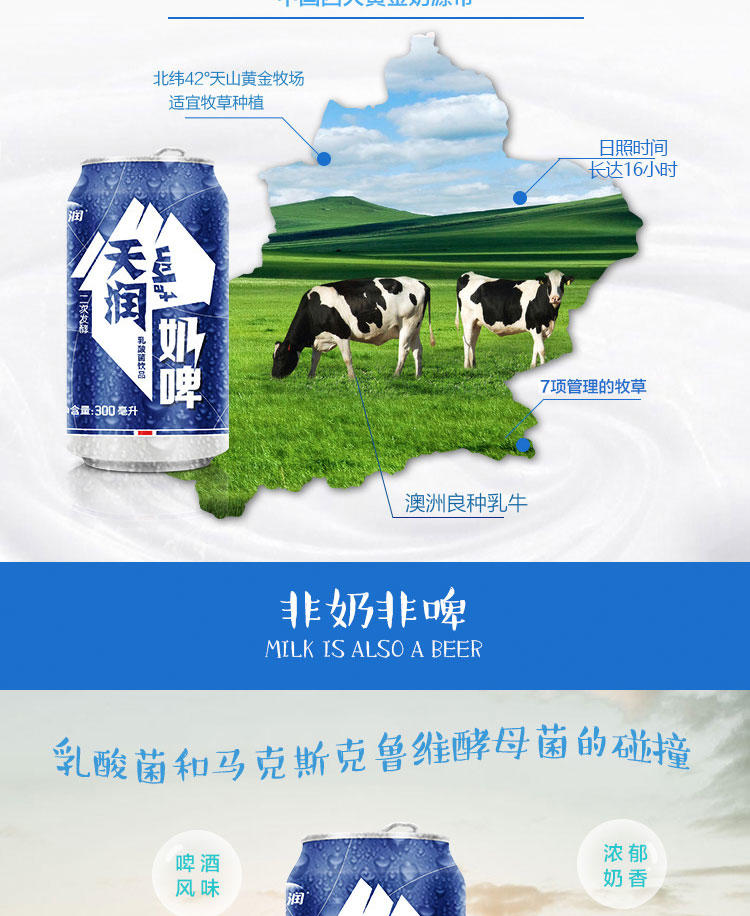 新疆天润奶啤包邮发酵乳酸菌不含酒精牛奶饮品300ml*12罐