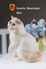 仿真猫模型 003 商品缩略图0