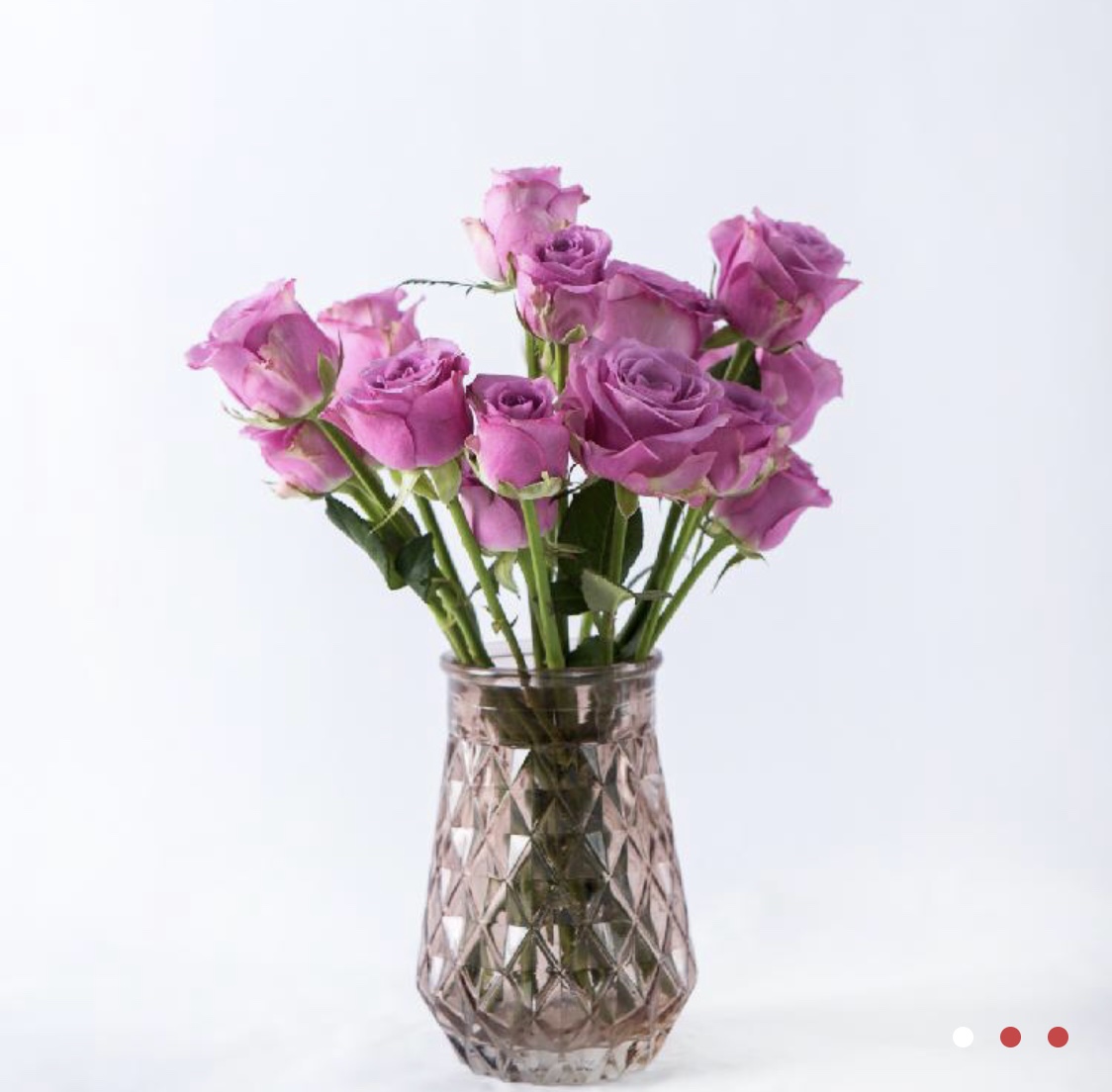 北京专享【冷美人玫瑰9.9元/8枝+2枝防损耗）秒杀】，颜色优雅，花型好