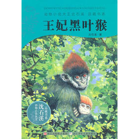 动物小说大王沈石溪·品藏书系：王妃黑叶猴