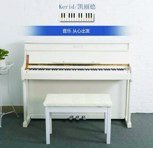 凯丽德立式电钢琴KD-806（买就送价值880元视频+教材超值大礼包） 商品图1