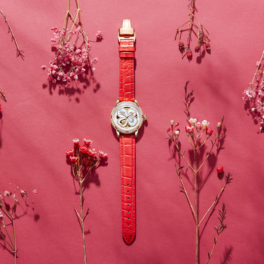 飞亚达四叶草系列机械女表LA8262.GWSS.A 商品图2