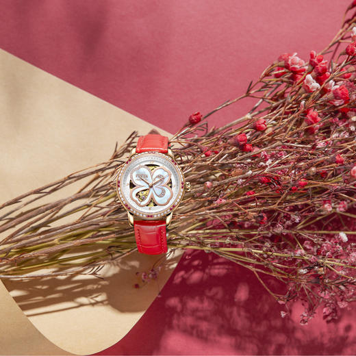 飞亚达四叶草系列机械女表LA8262.GWSS.A 商品图4