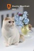 仿真猫模型 003 商品缩略图1