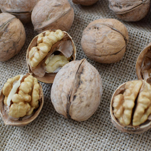 【备用】【2斤|185纸皮核桃】正宗新疆185纸皮薄皮核桃 2018新核桃1000g【11月10日—11日提货】【2日内提货】 商品图2