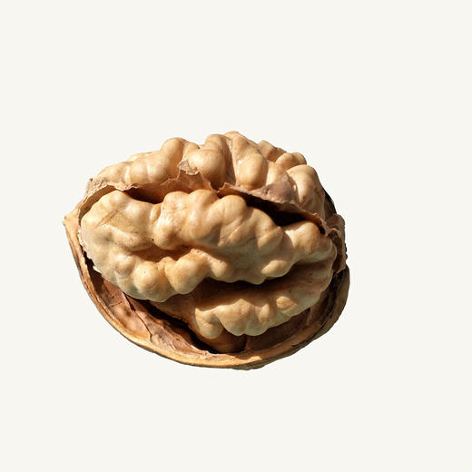 【备用】【2斤|185纸皮核桃】正宗新疆185纸皮薄皮核桃 2018新核桃1000g【11月10日—11日提货】【2日内提货】 商品图1