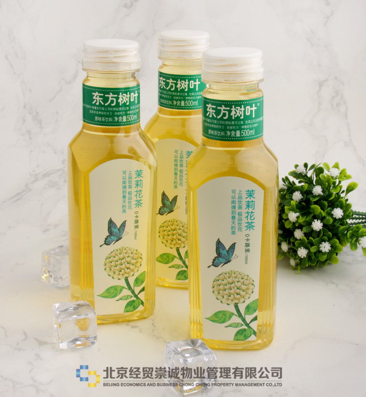 东方树叶茉莉花茶500ml