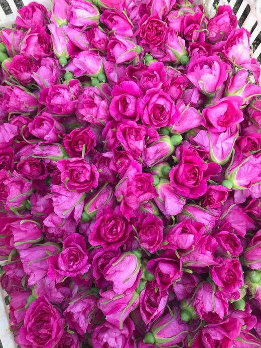 2018特级平阴玫瑰花冠王 天然低温无硫干玫瑰茶 大朵新鲜罐装60gx2罐装 商品图2