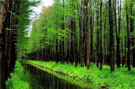 （永久下架）养生游尚湖，“蟹”逅沙家浜 商品图1