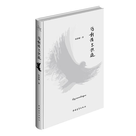 《鸽影偶尔掠过》侯舒啸著（精装本） 商品图0