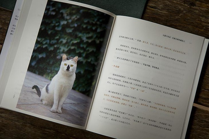 茶香记《观复猫—史上无猫不传奇 马未都 中信出版 文物历史