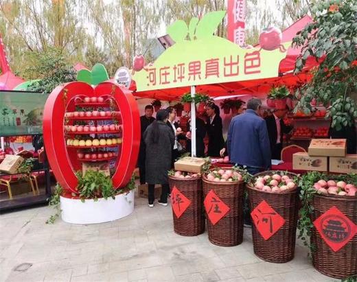 河庄坪延安山地苹果 商品图6