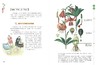 本草纲目 少儿彩绘版 古代中国的百科全书  万有文库 7-15岁适读 商品缩略图7