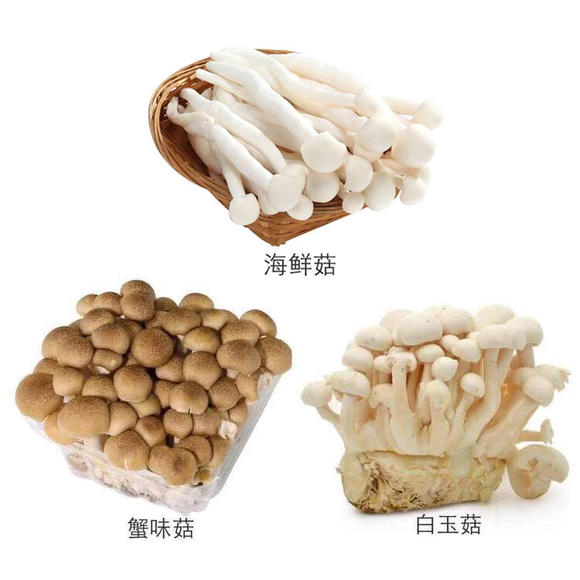 【会员减1元】白玉菇/蟹味菇/海鲜菇 新鲜蔬菜 火锅 煲汤(蔬菜)