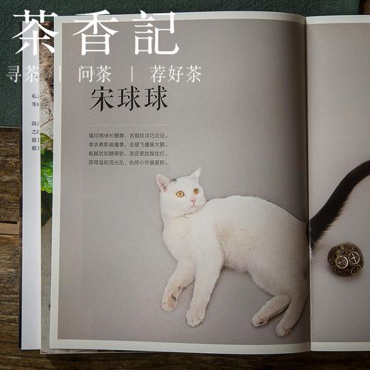 茶香记 《观复猫——史上无猫不传奇》  马未都 中信出版 文物历史 商品图1