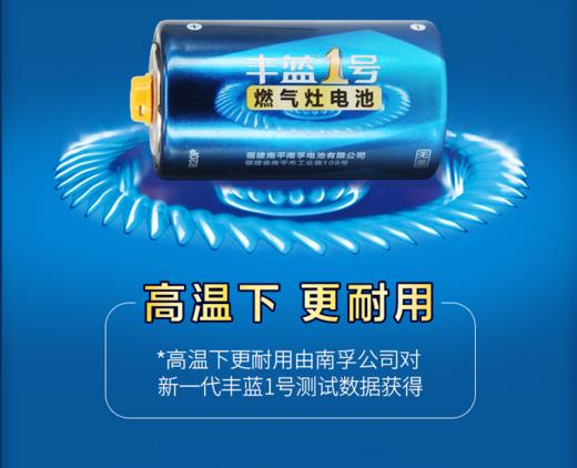 【百汇到家】丰蓝1号电池 商品图0