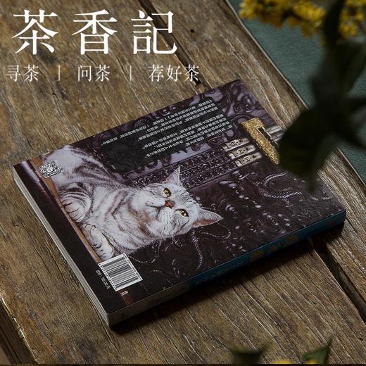 茶香记 《观复猫——史上无猫不传奇》  马未都 中信出版 文物历史 商品图4