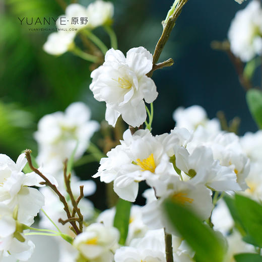 自然风樱花仿真花束日韩风绢花餐桌摆件花艺干花插花假花拍摄道具 商品图3
