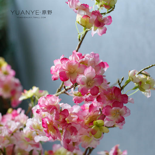 自然风樱花仿真花束日韩风绢花餐桌摆件花艺干花插花假花拍摄道具 商品图2