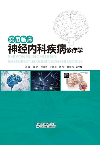 实用临床神经内科疾病诊疗学 商品图0
