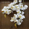 手感大花蕙兰仿真花高档中式装饰花假花绢花客厅餐桌茶几花艺摆件 商品缩略图4