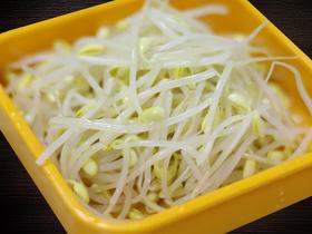 黄豆芽