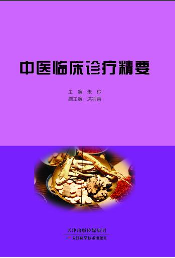 中医临床诊疗精要 商品图0
