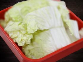 大白菜