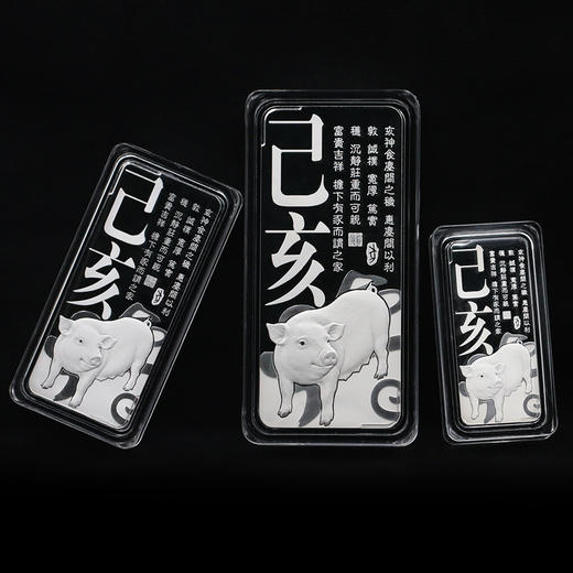 【中国金币】2019年猪年贺岁银条（99.9%） 商品图1