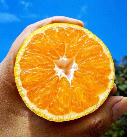 涌泉蜜桔 可以连皮吃【单孔泡沫包装   仅售江浙沪地区】 商品图0