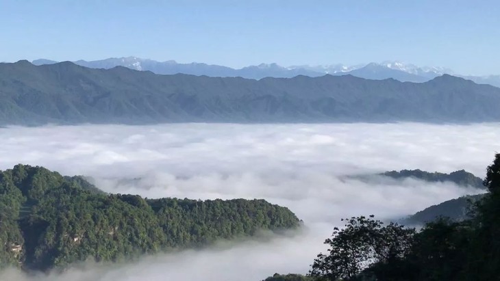 【雅安蒙顶山】39.9元抢蒙顶山秋冬特惠!千年蒙山赏雪