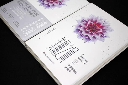 美丽之问：宇宙万物的大设计 对称 量子力学 相对论 标准模型 科学与艺术 李政道 时间简史 诺奖 A Beautiful Question 诺贝尔奖 商品图4