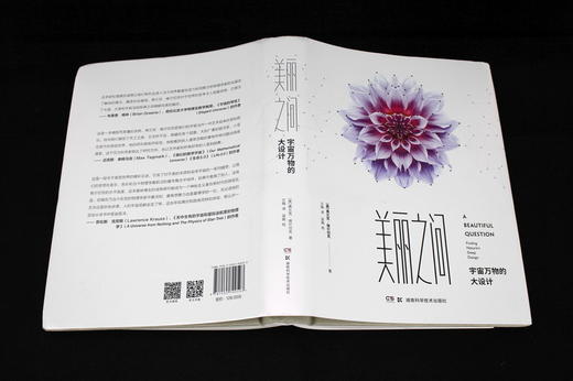 美丽之问：宇宙万物的大设计 对称 量子力学 相对论 标准模型 科学与艺术 李政道 时间简史 诺奖 A Beautiful Question 诺贝尔奖 商品图1
