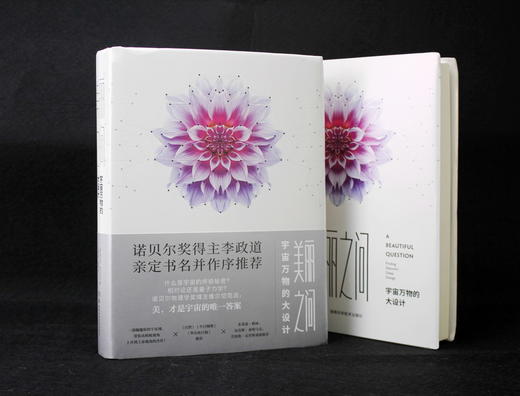 美丽之问：宇宙万物的大设计 对称 量子力学 相对论 标准模型 科学与艺术 李政道 时间简史 诺奖 A Beautiful Question 诺贝尔奖 商品图5