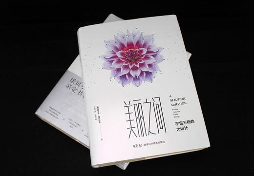 美丽之问：宇宙万物的大设计 对称 量子力学 相对论 标准模型 科学与艺术 李政道 时间简史 诺奖 A Beautiful Question 诺贝尔奖 商品图6