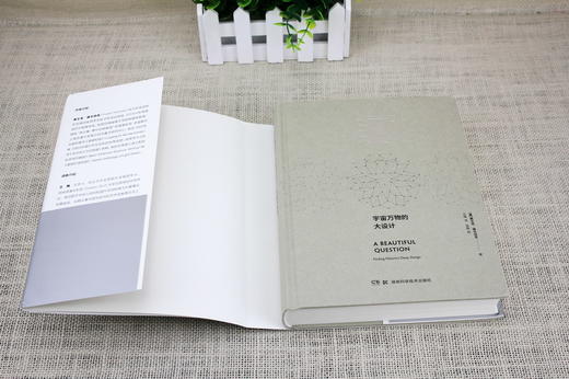 美丽之问：宇宙万物的大设计 对称 量子力学 相对论 标准模型 科学与艺术 李政道 时间简史 诺奖 A Beautiful Question 诺贝尔奖 商品图3