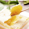 可以啃的【新疆巢蜜】原筑葵花巢蜜 400g 商品缩略图4