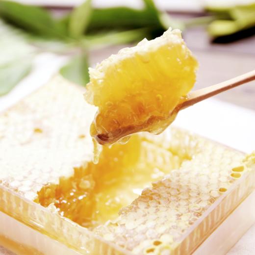 可以啃的【新疆巢蜜】原筑葵花巢蜜 400g 商品图4