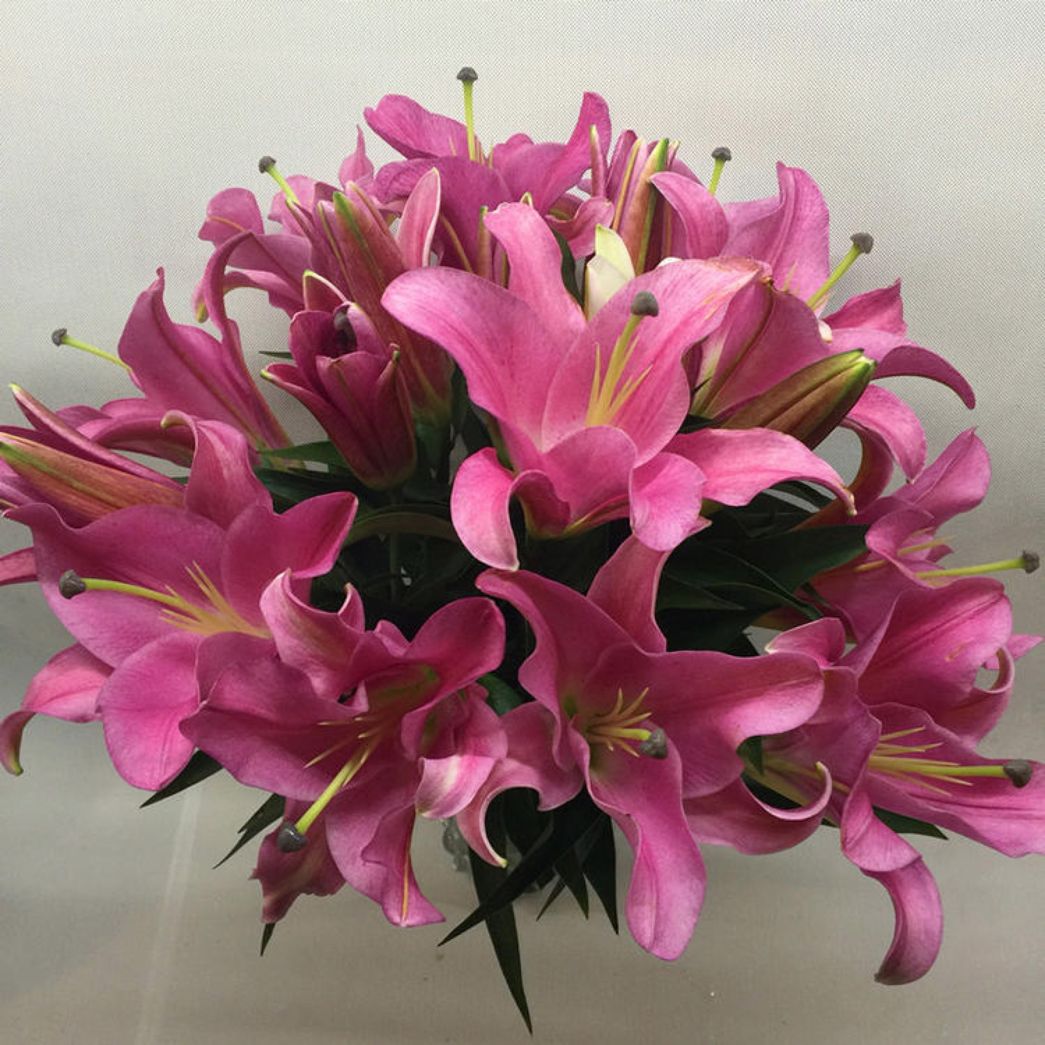 【罗宾娜单头红色百合8枝+2枝防损耗】