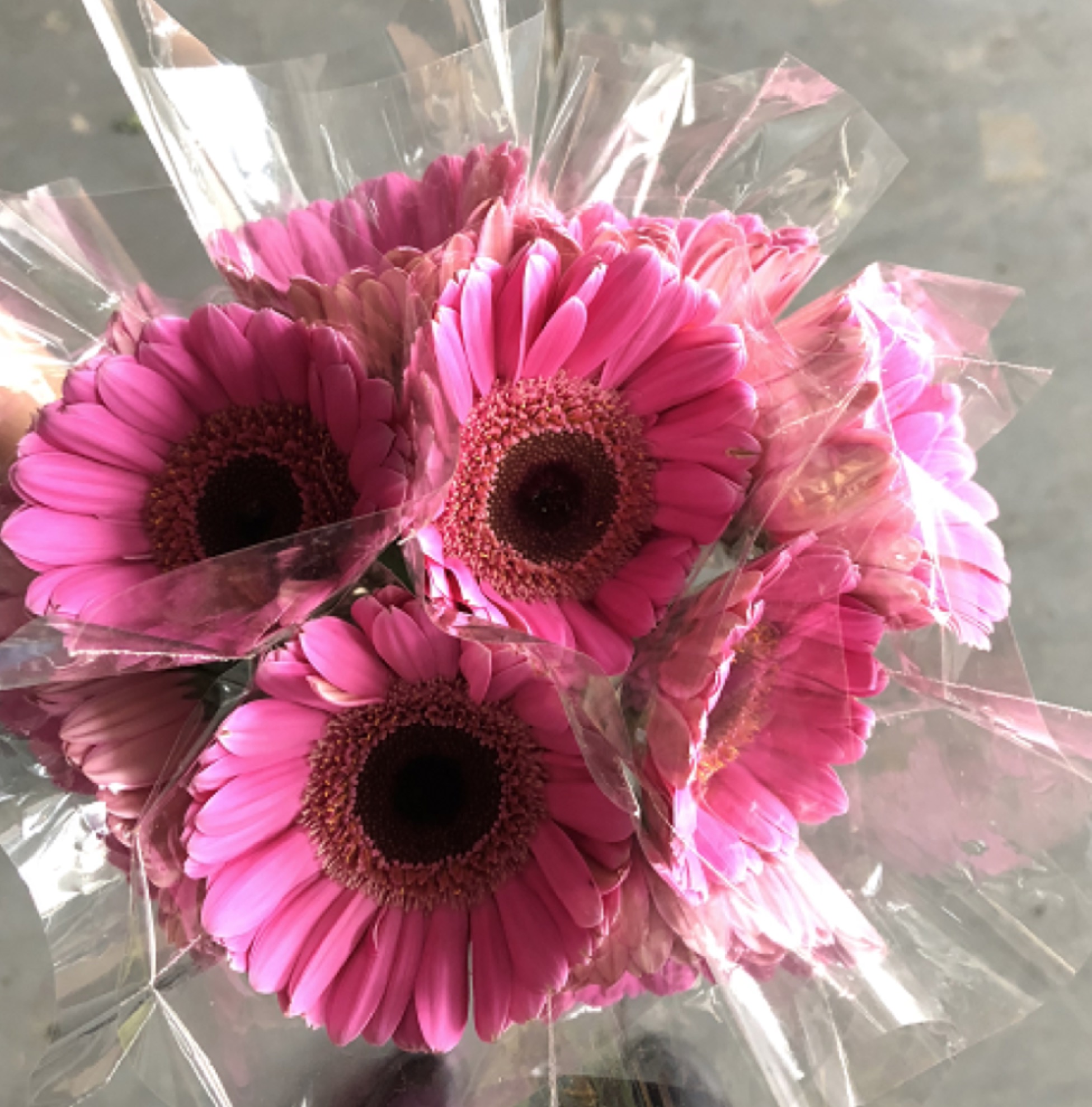 【扶郎8枝+2枝防损耗（珍爱，美满，紫霞仙子，双色随机）】