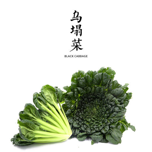 乌塌菜  400g 商品图0