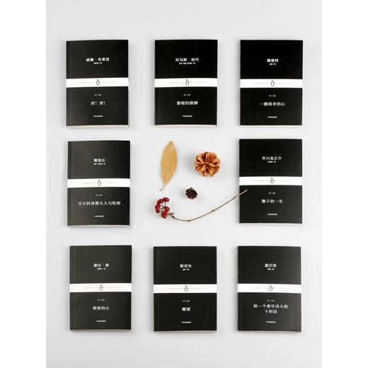 【快手专享】企鹅经典小黑书 diyi辑中英双语版 口袋书 中信出版社图书 正版书籍 畅销书 商品图4