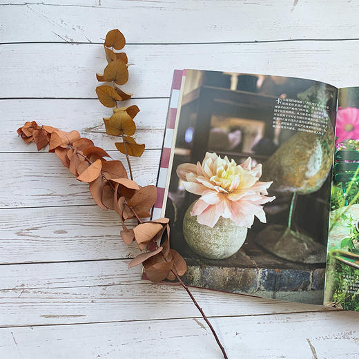 岁时花艺设计指南——秋日复古风神秘感花艺设计 商品图7