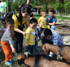 【沙西线】锦兰儿童农场58元吃玩一天！自助午餐＋滚铁环、喂动物、攀爬… 商品缩略图0