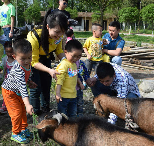 【沙西线】锦兰儿童农场58元吃玩一天！自助午餐＋滚铁环、喂动物、攀爬… 商品图0