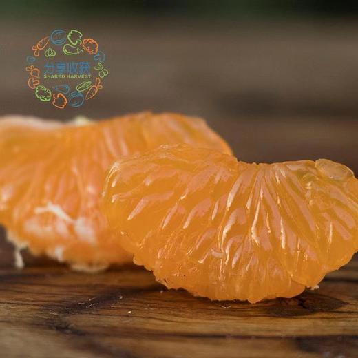 公平贸易|有机蜜橘  （11月6日后发货） 商品图4