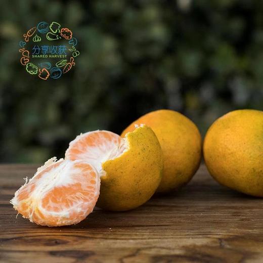 公平贸易|有机蜜橘  （11月6日后发货） 商品图3