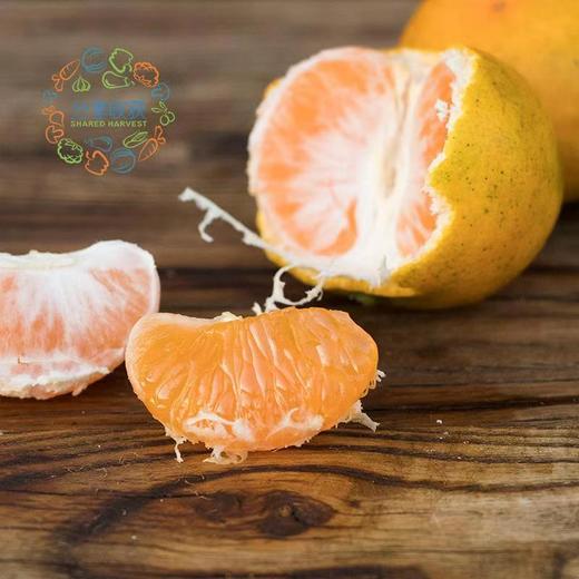 公平贸易|有机蜜橘  （11月6日后发货） 商品图2