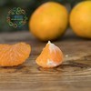公平贸易|有机蜜橘  （11月6日后发货） 商品缩略图0